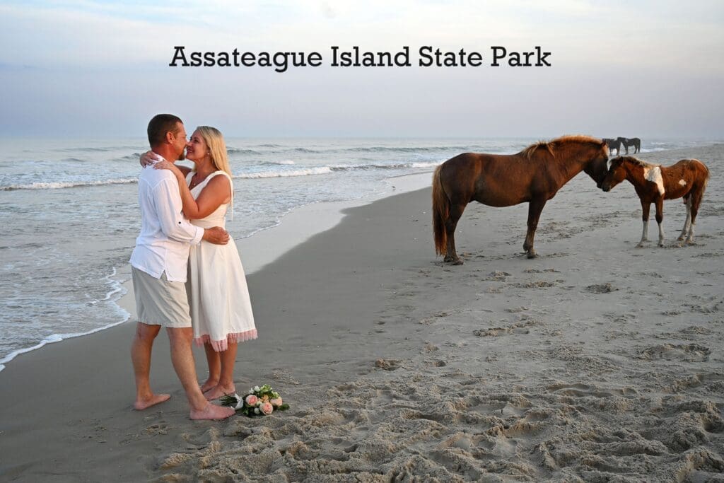 Assateague State Park Wedding