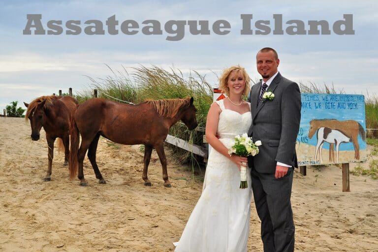 Assateague State Park Weddings