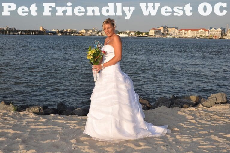 West Ocean City Homer Dog Beach Weddings